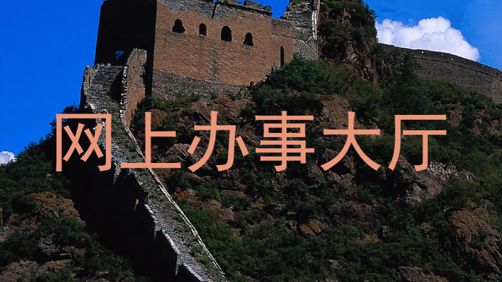 网上办事大厅