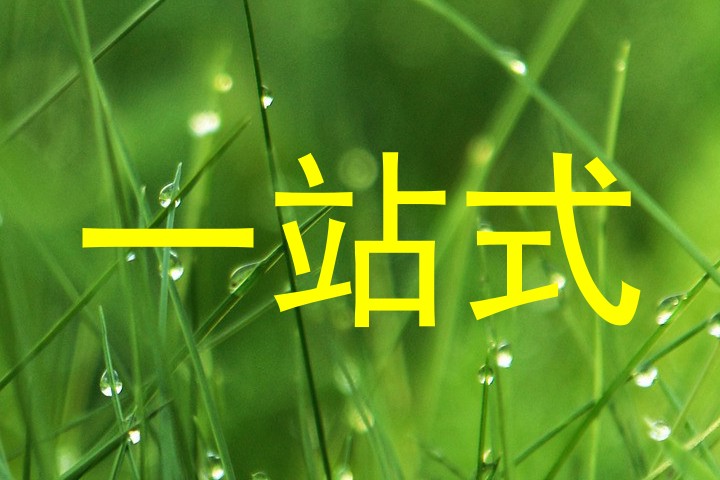 一站式