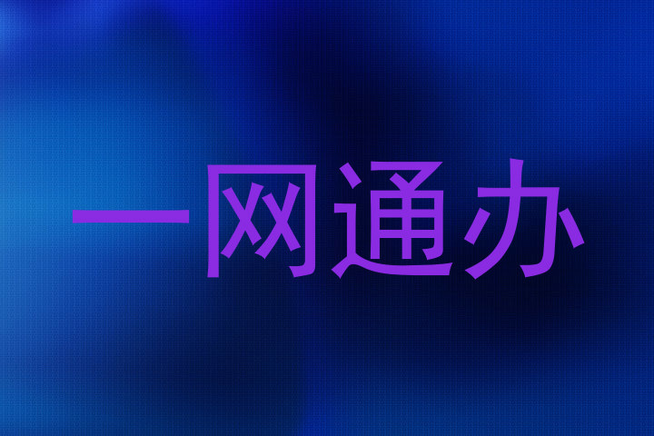 一网通办