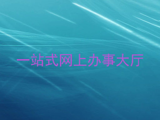 一站式网上办事大厅