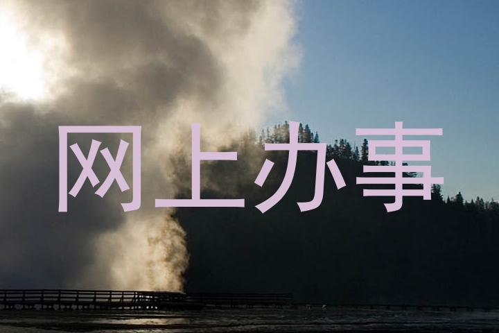 网上办事