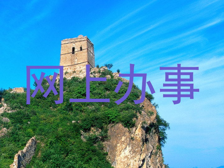网上办事
