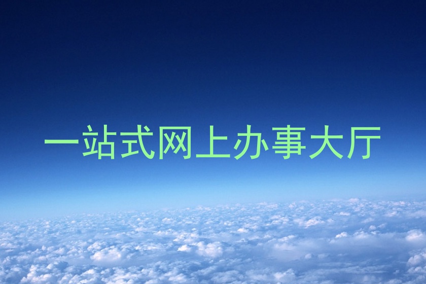 一站式网上办事大厅