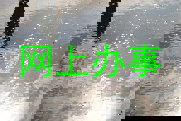 网上办事