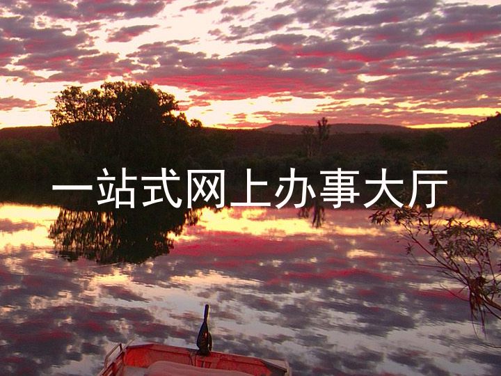 一站式网上办事大厅