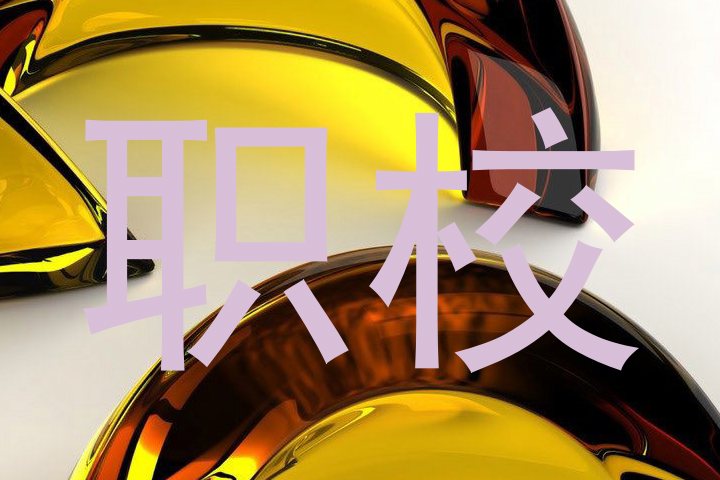职校