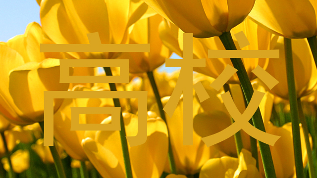 高校