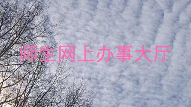师生网上办事大厅