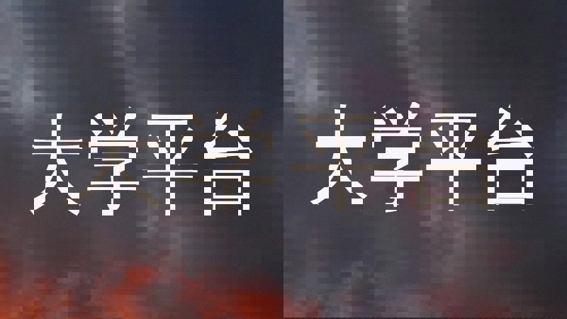 大学平台