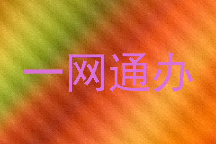 一网通办