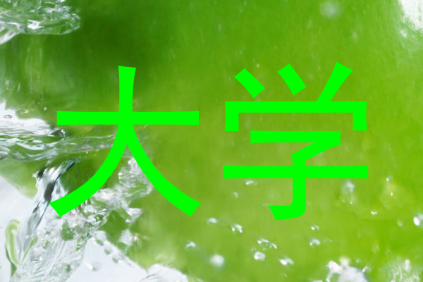 大学