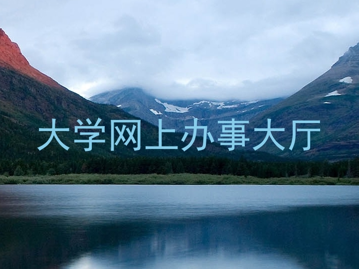 大学网上办事大厅