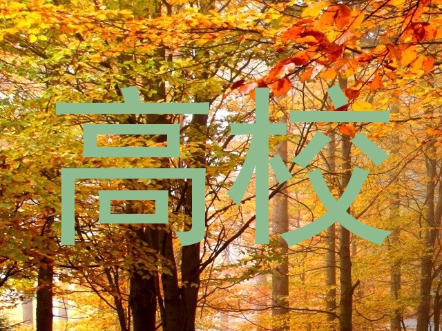 高校