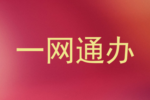 一网通办