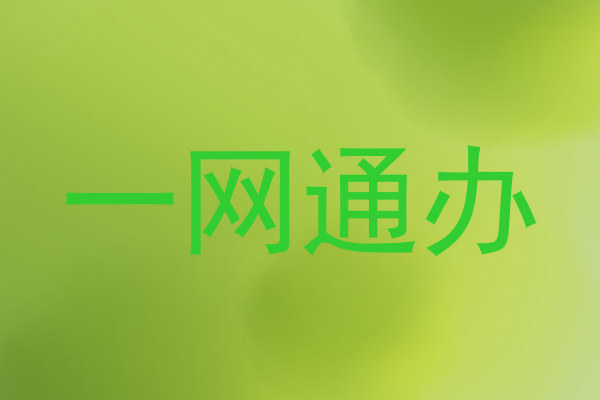 一网通办