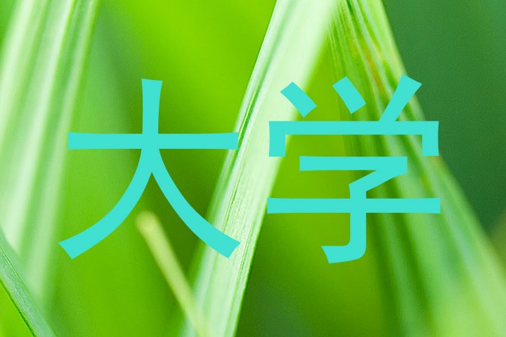 大学