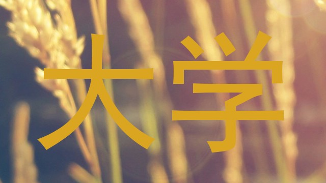 大学