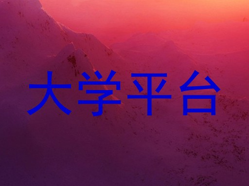 大学平台
