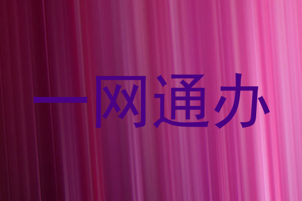 一网通办