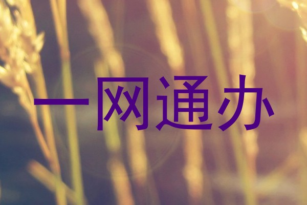 一网通办