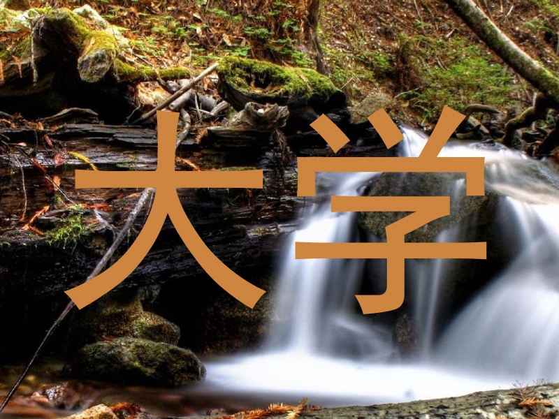 大学