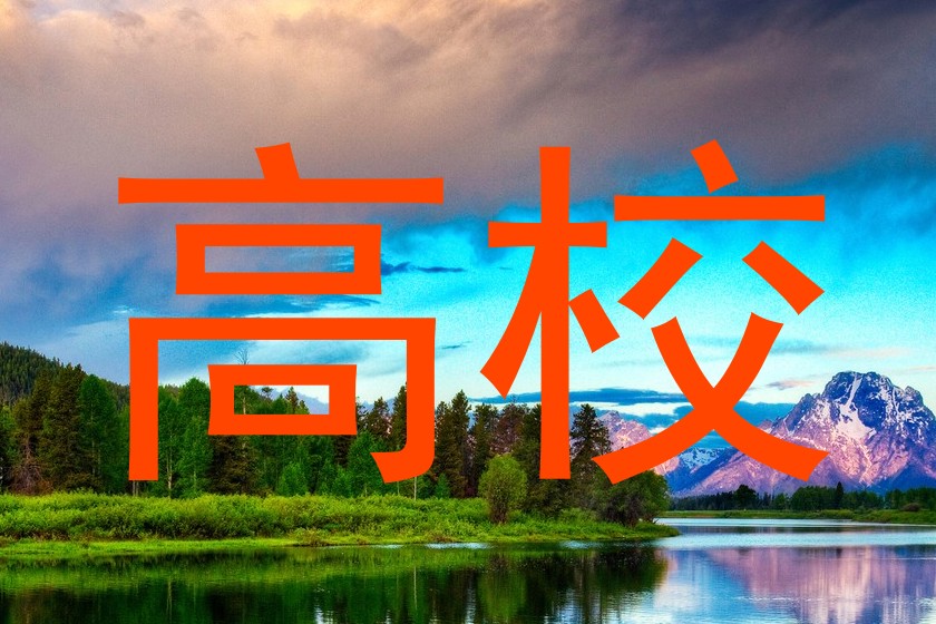 高校