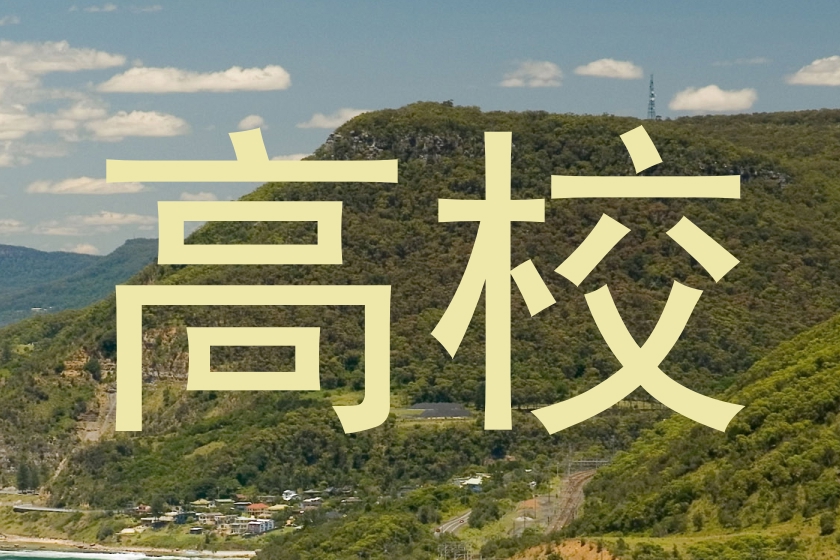 高校