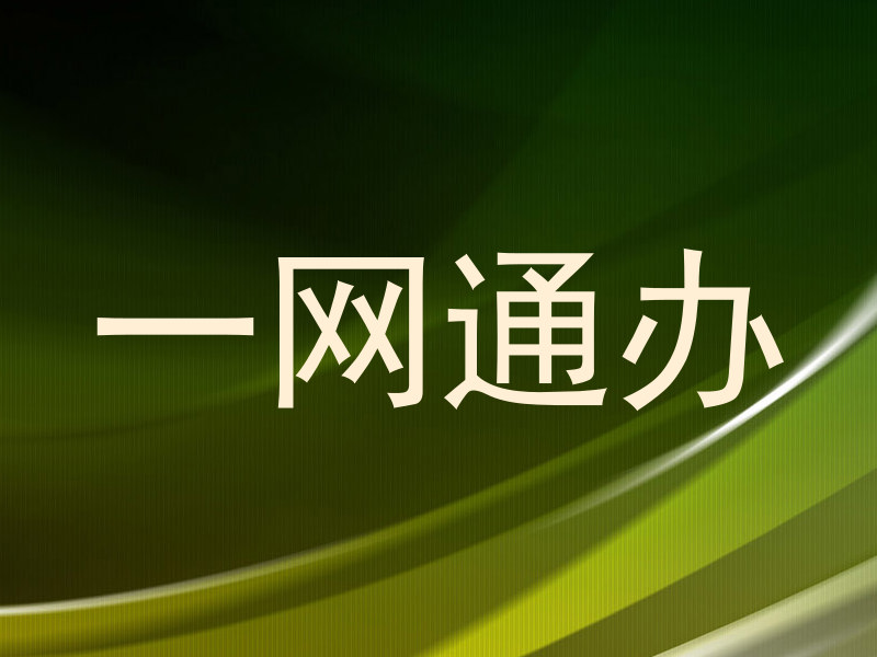 一网通办