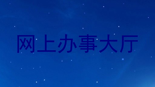 网上办事大厅