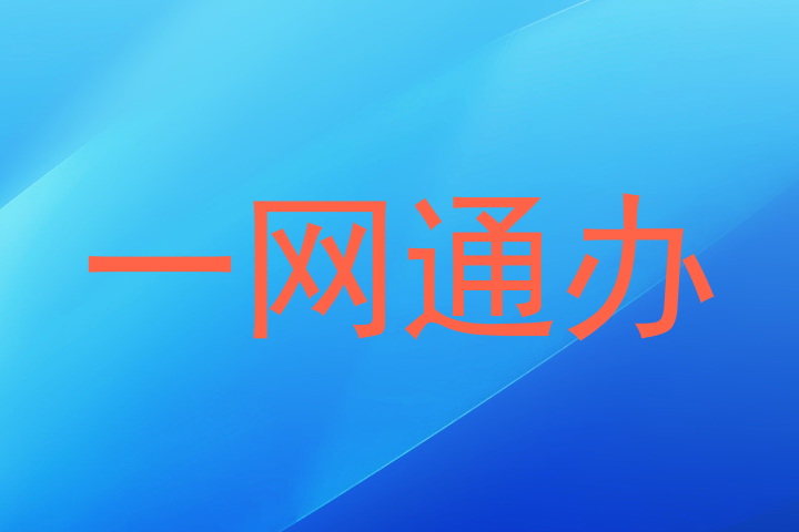 一网通办