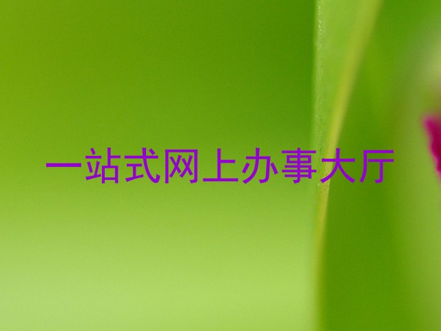一站式网上办事大厅