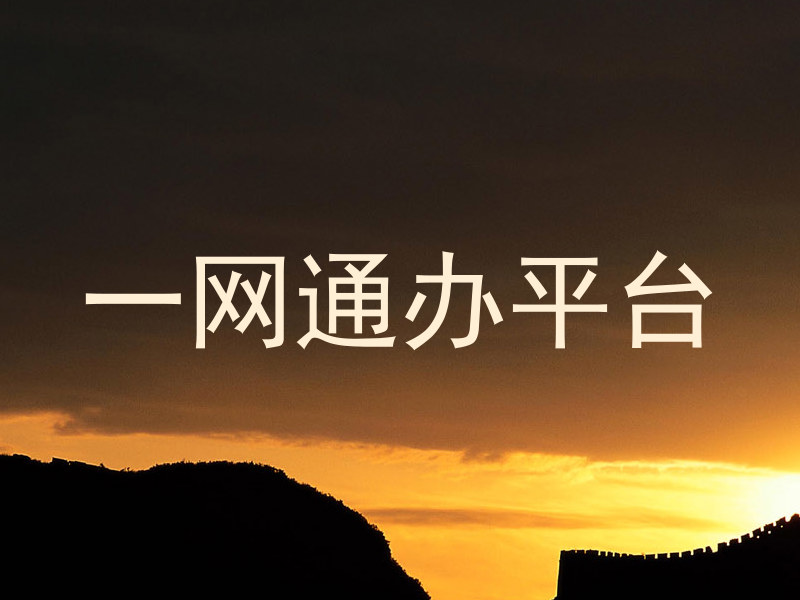 一网通办