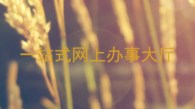 一站式网上办事大厅