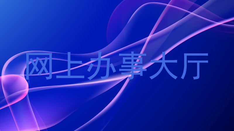 网上办事大厅