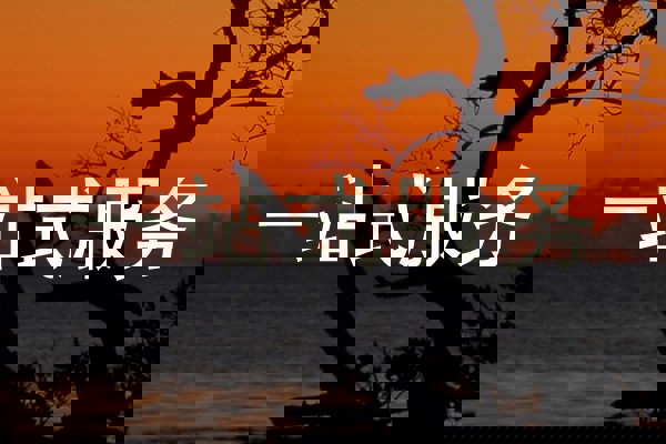 一站式服务