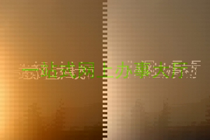 一站式网上办事大厅
