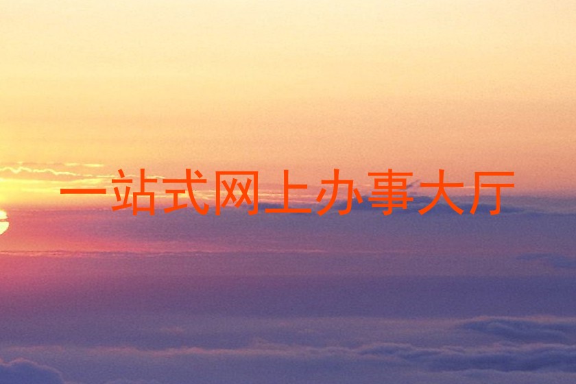 一站式网上办事大厅