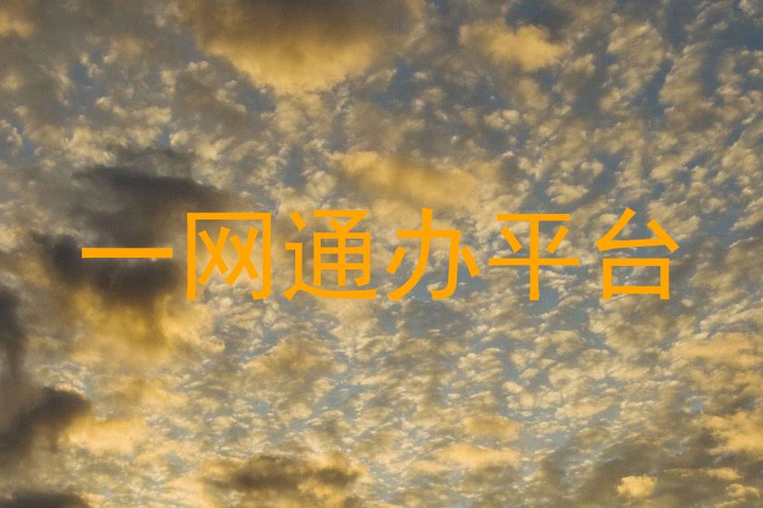 一网通办平台