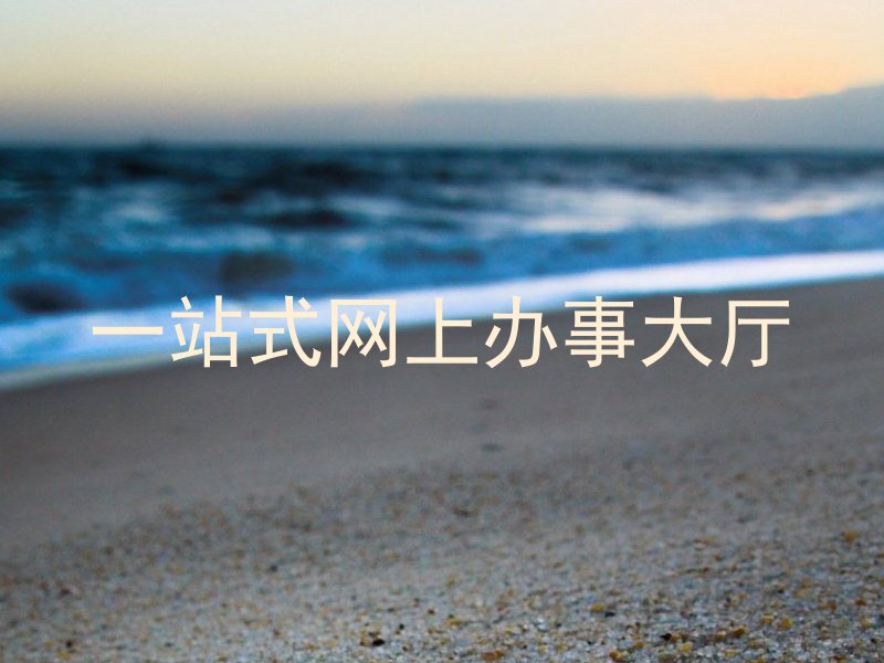一站式网上办事大厅