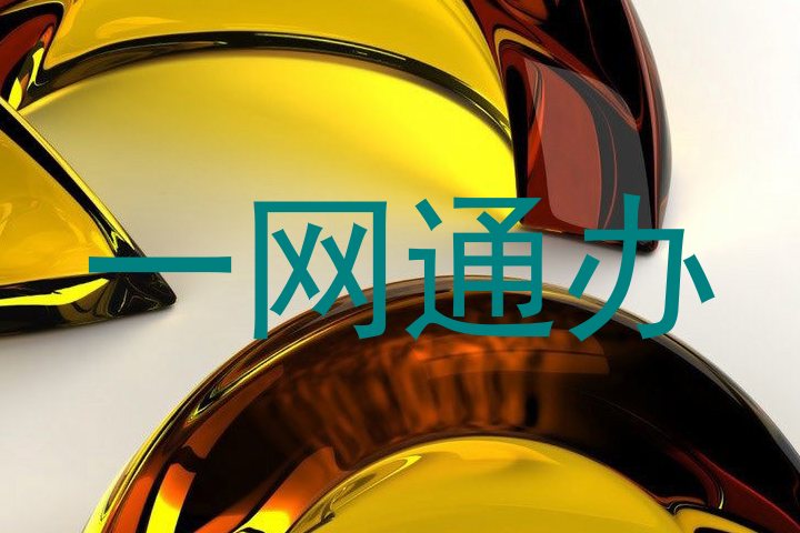 一网通办