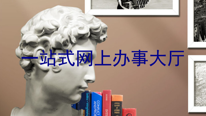 一站式网上办事大厅