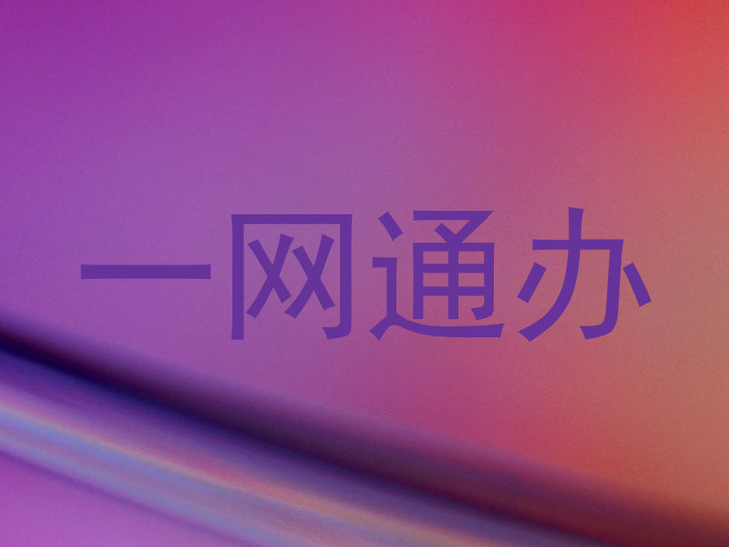 一网通办