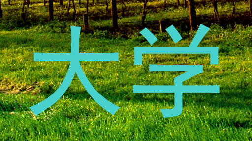 大学
