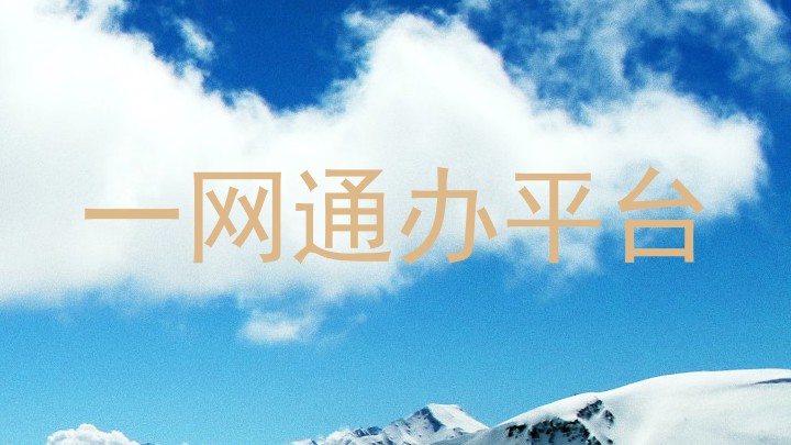 一网通办平台
