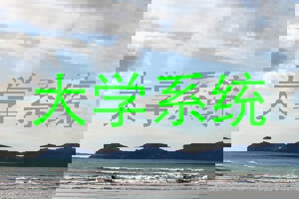 大学系统