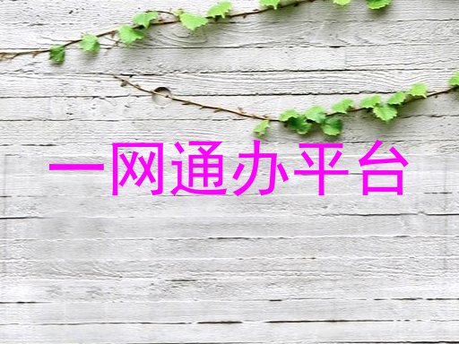 一网通办平台