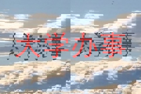 大学办事
