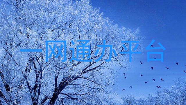 一网通办平台