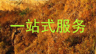 一站式服务