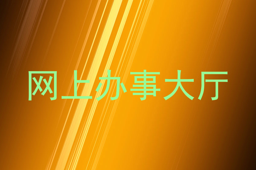 网上办事大厅